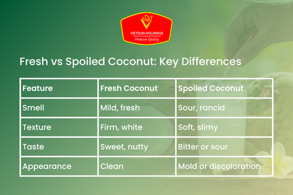 Fresh vs Spoiled Coconut: Key Differences
